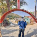 풍영정 | 영천 가볼만한곳 가래실 문화마을 스탬프투어 별별미술마을 여행