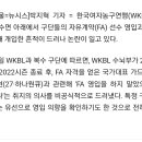 신지현은 손대지마라 WKBL fa 개입논란 이미지