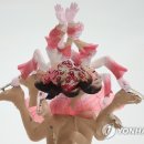 꽃이피다 이미지