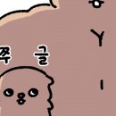 큐핏