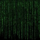 코딩지도사 이미지