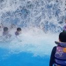 용인대골드태권도장 이미지