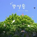 굿마인드 이미지