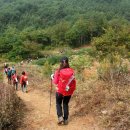 민둥산산마루시루봉펜션 이미지