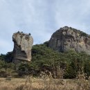 배바위농원 이미지