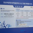 중앙역(바위) | 안산 시티투어 바다향기수목원 대부도 구봉도 탄도 오이도 중앙역출발 당일치기 여행 후기 아쉬운점