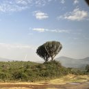 초원동물병원 | 아프리카 여행 케냐 마사이마라 사파리 투어 2박 3일 업체 추천