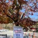 대곡3교 | 29회 한국국제걷기대회 25km-3만보 5시간 750칼로리!