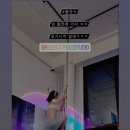 앨리캣폴스튜디오 이미지