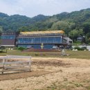 합천블루베리 | 거창 반값여행 | 이수미팜베리 거창카페 유기농 베리 농가레스토랑 솔직후기