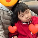 징검다리도서관 | 2025 광명시 벚꽃명소 추천 : 안양천 징검다리