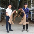 안종호농장 이미지