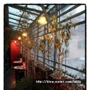 신사동-19 이미지