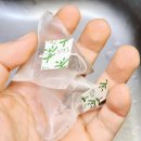 거제치유농업동산 | 거제치유농업 라파수국차 티백추천 건강차 시음 후기