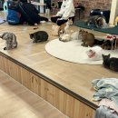 근현대 역사관, 금고 미술관, 밀양 돼지국밥 서면점, 집사의 하루, 아비베르컴퍼니, 자갈치시장, 깡통시장)