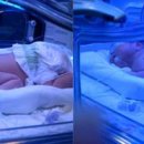 리니지 이용자들, 생후 40일된 영아 살렸다 이미지