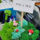 송파제일약국 이미지