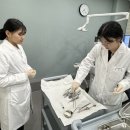 메타플란트치과의원 이미지