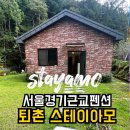 스테이아모