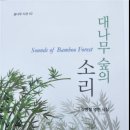 숲의 소리 이미지