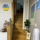 제주피움 이미지