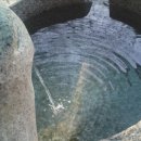 밤나무골샘물 이미지