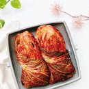 조은유치원 이미지