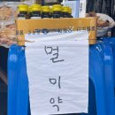 신애세탁소 | 울릉도 뚜벅이 4박5일 여행 3일차 독도문방구 천금회수산 저동항행남해안산책로 저동시장 코끼리바위