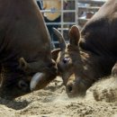 (주)후성건설 이미지