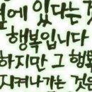 분꽃 : 밤에피는꽃 이미지