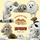 도기크루#