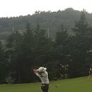 황금알골프존 이미지