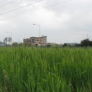문산체육공원 Daum카페