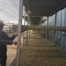 낭산농장 이미지