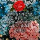 ★성인 유모어. 이미지