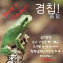 경 칲 이미지