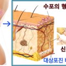 춘양삼성의원 이미지