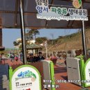 양서·파충류생태공원 아나콘다관 이미지