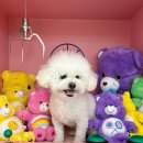 주식회사 중앙바이오텍 이미지