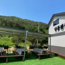 단풍나무펜션 이미지