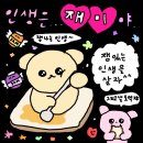 이퀄디