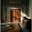 이상한 식물나라 이미지