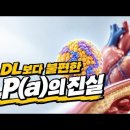 내가 LP(a)를 강조하지 않는 이유 - 콜레스테롤 검사 이미지