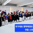 국가대표 백호 태권도장 이미지