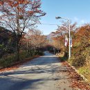 마운틴밸리휴펜션1 이미지