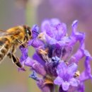 올림픽로76 이미지