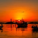 사궁두미 이미지