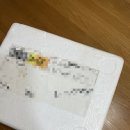 네츄럴디오스