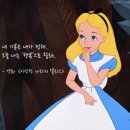 앨리스 디자인