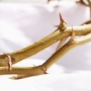 한세대학교 경찰법무·경영대학원 이미지